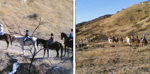 Trail Rides and Riding Clinics